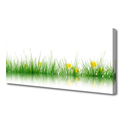 Quadro canvas Natureza Grama Flores