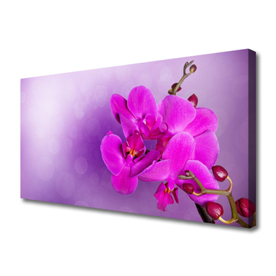 Quadro canvas Flores Pétalas Orquídea