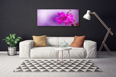 Quadro canvas Flores Pétalas Orquídea