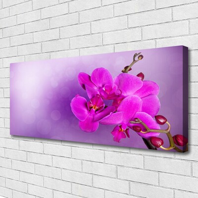 Quadro canvas Flores Pétalas Orquídea