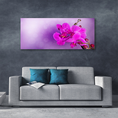 Quadro canvas Flores Pétalas Orquídea