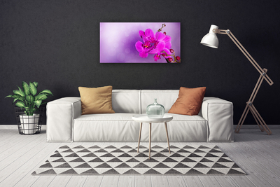 Quadro canvas Flores Pétalas Orquídea