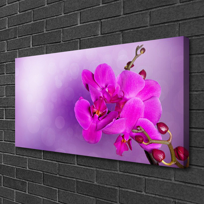 Quadro canvas Flores Pétalas Orquídea