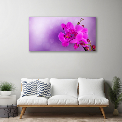Quadro canvas Flores Pétalas Orquídea