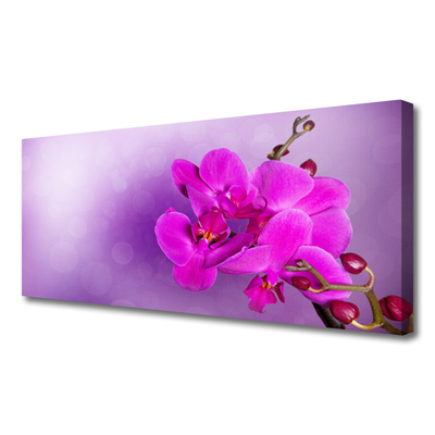 Quadro canvas Flores Pétalas Orquídea
