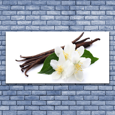 Quadro canvas Fava de baunilha para a cozinha