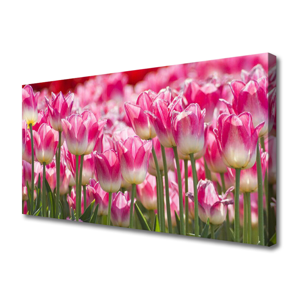 Quadro canvas Tulipas Flores Natureza