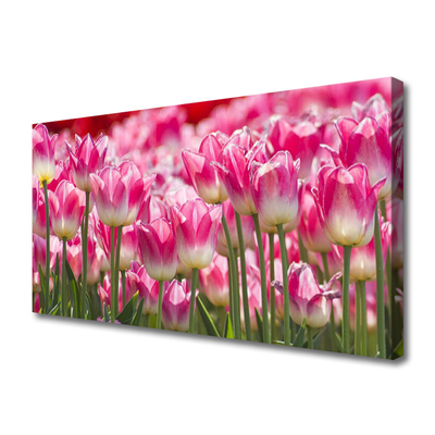 Quadro canvas Tulipas Flores Natureza