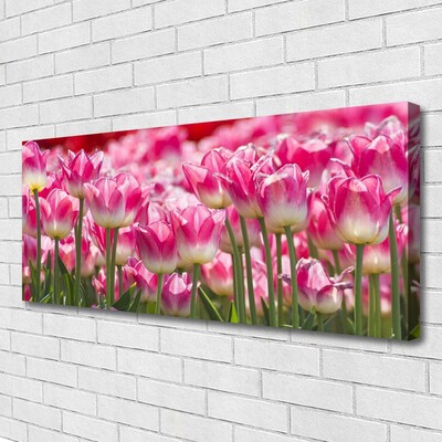 Quadro canvas Tulipas Flores Natureza