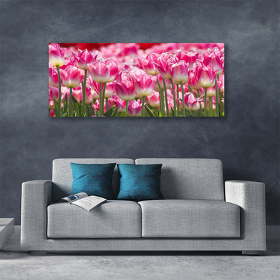 Quadro canvas Tulipas Flores Natureza
