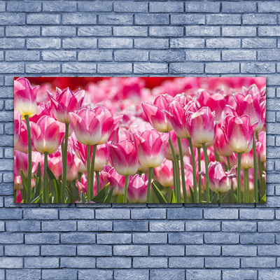 Quadro canvas Tulipas Flores Natureza
