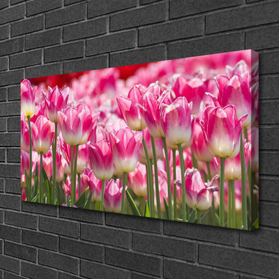 Quadro canvas Tulipas Flores Natureza
