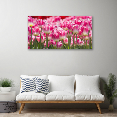 Quadro canvas Tulipas Flores Natureza