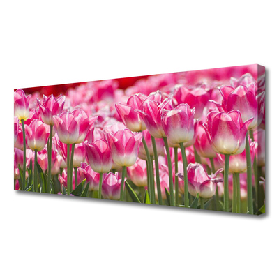 Quadro canvas Tulipas Flores Natureza