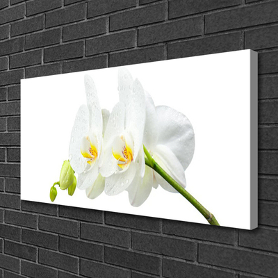 Quadro em tela Pétalas de flores de orquídea branca