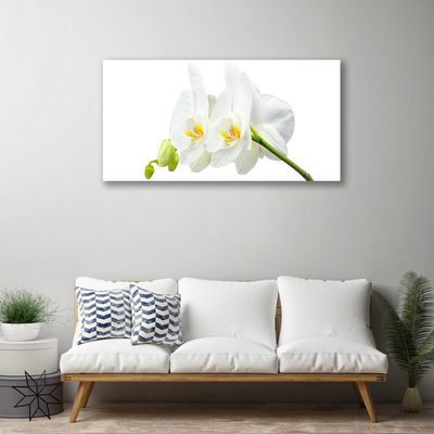Quadro em tela Pétalas de flores de orquídea branca