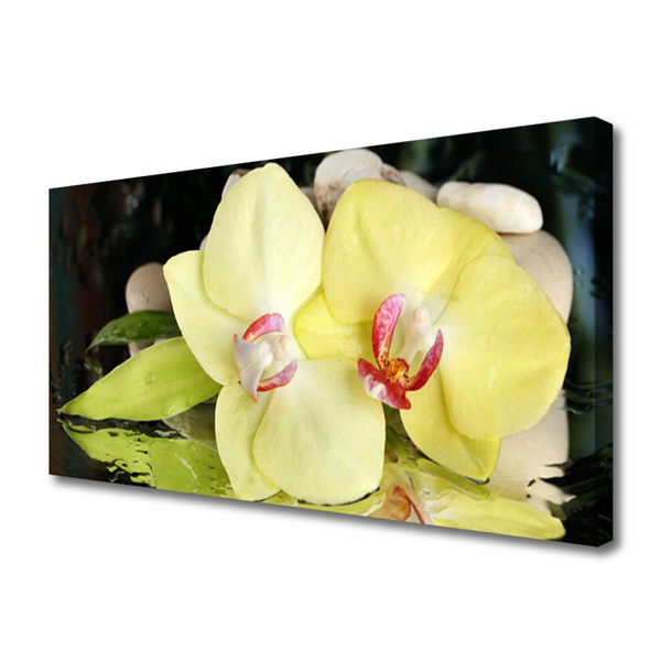 Quadro canvas Pétalas de flores de orquídea