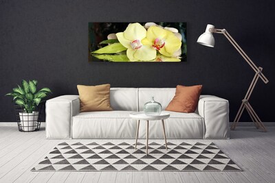 Quadro canvas Pétalas de flores de orquídea