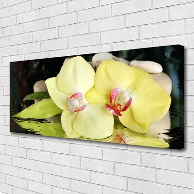 Quadro canvas Pétalas de flores de orquídea