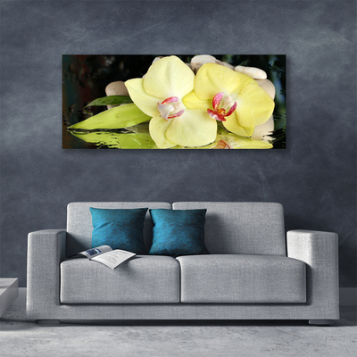 Quadro canvas Pétalas de flores de orquídea