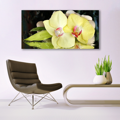 Quadro canvas Pétalas de flores de orquídea
