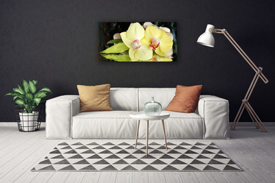 Quadro canvas Pétalas de flores de orquídea