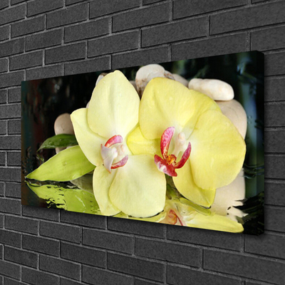 Quadro canvas Pétalas de flores de orquídea
