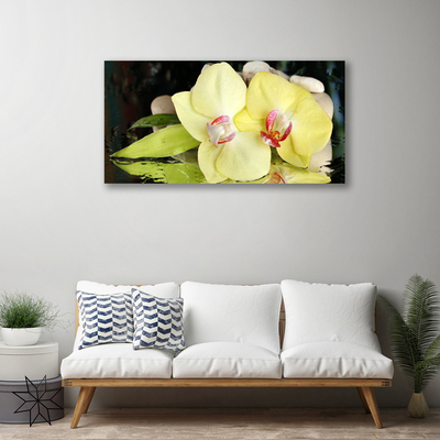 Quadro canvas Pétalas de flores de orquídea