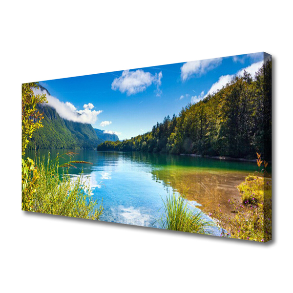 Quadro canvas Montanhas Floresta Natureza Lago