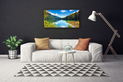Quadro canvas Montanhas Floresta Natureza Lago
