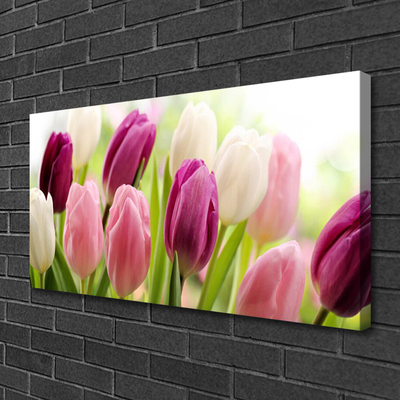 Quadro em tela Tulipas Flores Natureza Prado