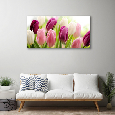 Quadro em tela Tulipas Flores Natureza Prado