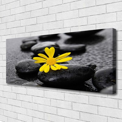 Quadro canvas Spa Flor Amarela Natureza
