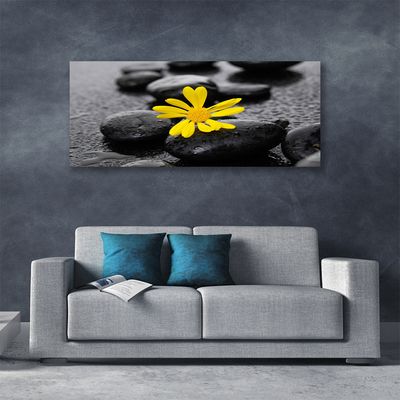 Quadro canvas Spa Flor Amarela Natureza