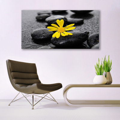 Quadro canvas Spa Flor Amarela Natureza
