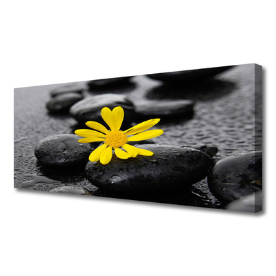 Quadro canvas Spa Flor Amarela Natureza