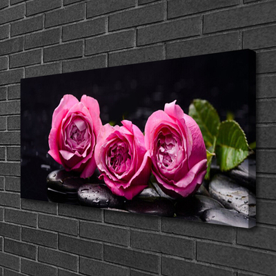 Quadro em tela Roses Stones Zen Spa Natureza