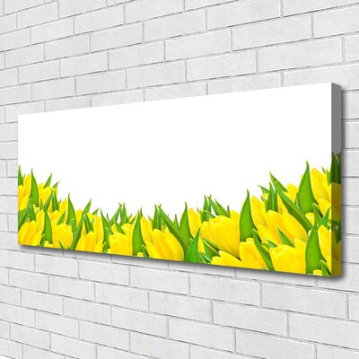 Quadro canvas Flores Natureza Tulipas