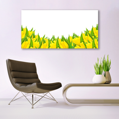 Quadro canvas Flores Natureza Tulipas