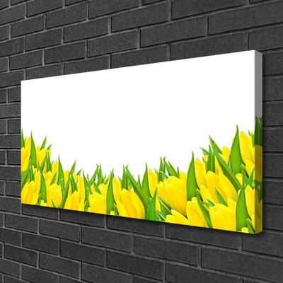 Quadro canvas Flores Natureza Tulipas