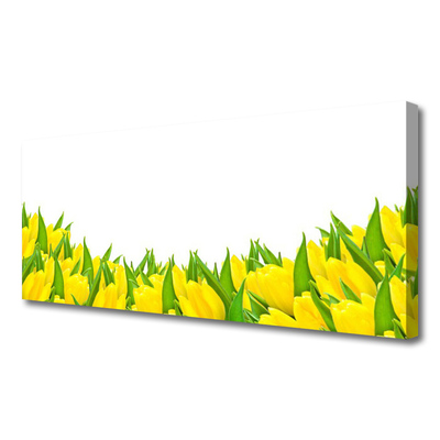 Quadro canvas Flores Natureza Tulipas