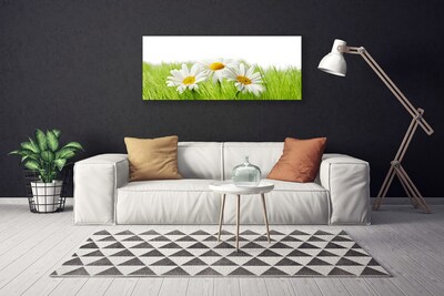 Quadro em tela Planta de flores margaridas