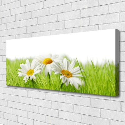 Quadro em tela Planta de flores margaridas