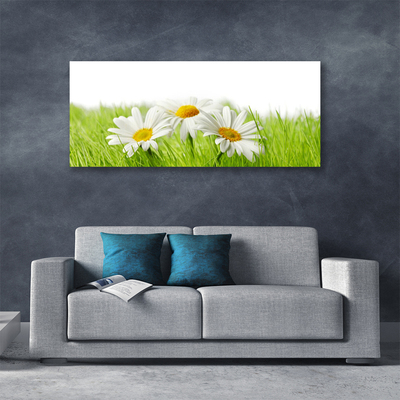 Quadro em tela Planta de flores margaridas