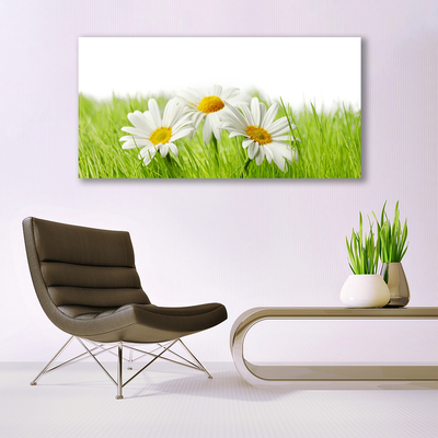 Quadro em tela Planta de flores margaridas