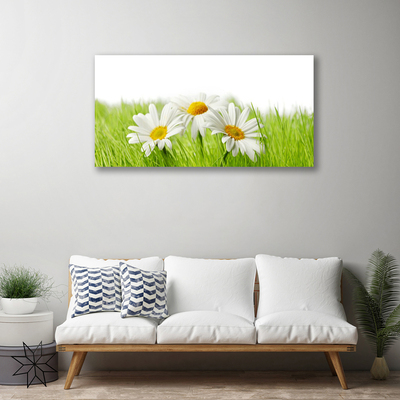 Quadro em tela Planta de flores margaridas