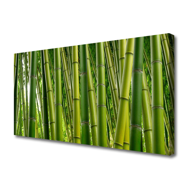 Quadro canvas Brotos de bambu da floresta de bambu