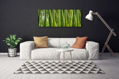 Quadro canvas Brotos de bambu da floresta de bambu