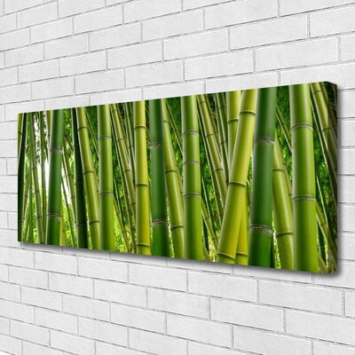 Quadro canvas Brotos de bambu da floresta de bambu