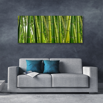 Quadro canvas Brotos de bambu da floresta de bambu